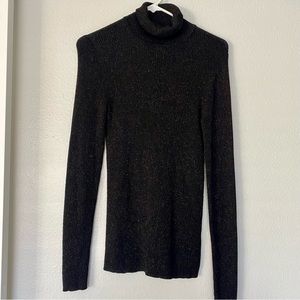Express Glitter Turtleneck